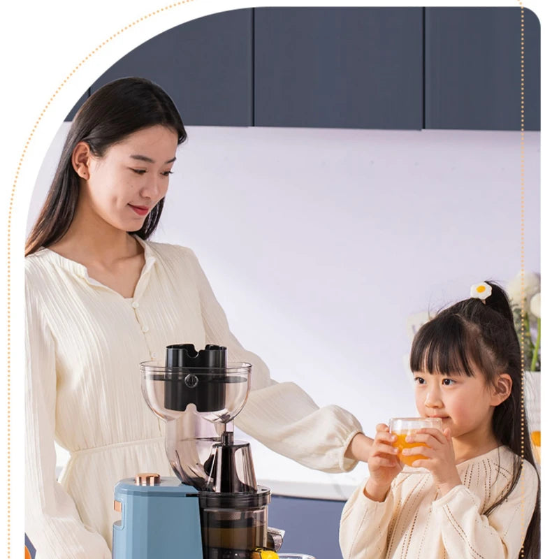 Slow Grinding Juicer Blender