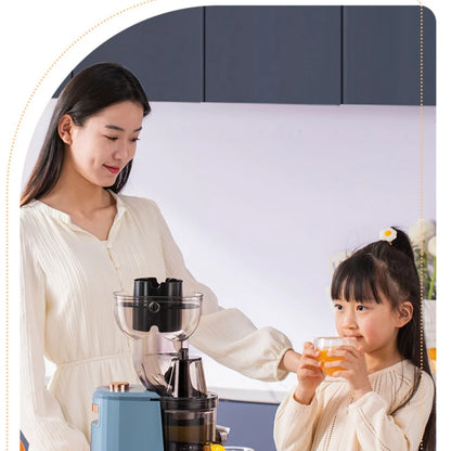 Slow Grinding Juicer Blender
