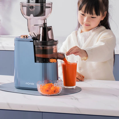 Slow Grinding Juicer Blender