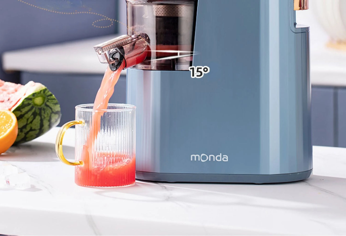 Slow Grinding Juicer Blender