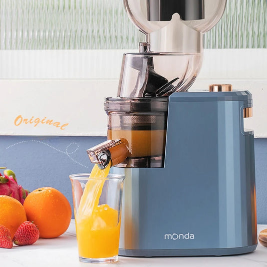 Slow Grinding Juicer Blender