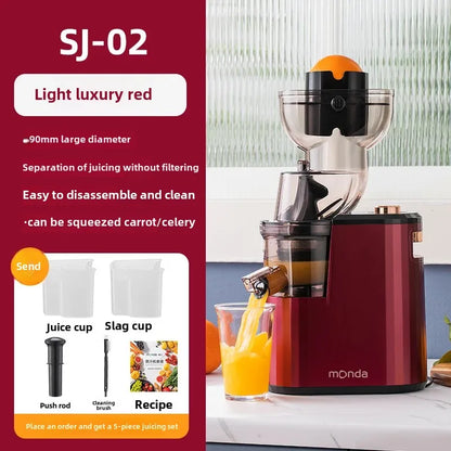 Slow Grinding Juicer Blender