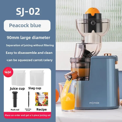 Slow Grinding Juicer Blender