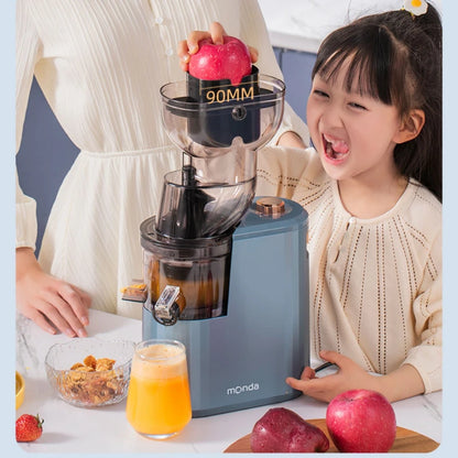 Slow Grinding Juicer Blender